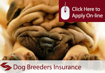 dog breeders insurance 