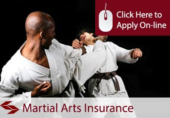 self employed martial arts teacher liability insurance
