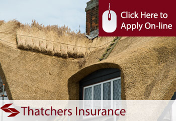 employers liability insurance for thatchers