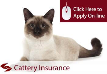  cattery commercial combined insurance 