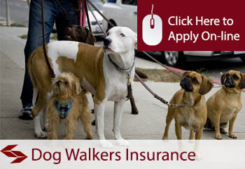 self employed dog walkers liability insurance