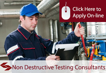 non destructive testing consultants professional indemnity insurance 