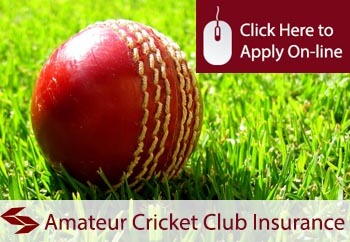 amateur cricket club insurance