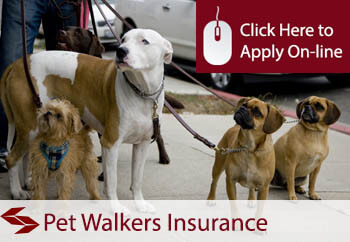pet walkers insurance 