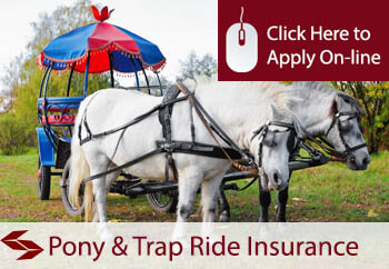 self employed pony and trap rides liability insurance