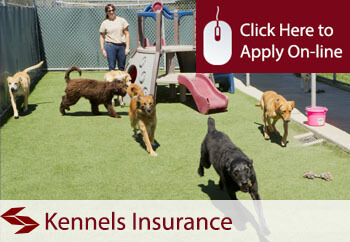 Kennel Insurance