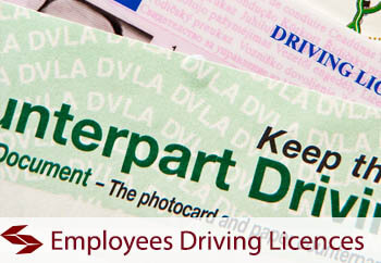 Should I Check My Employees Driving Licence?