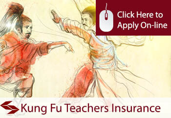 Kung Fu teachers insurance