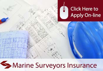 marine surveyors insurance