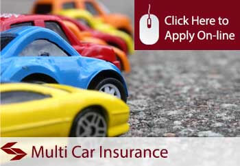 multi car insurance