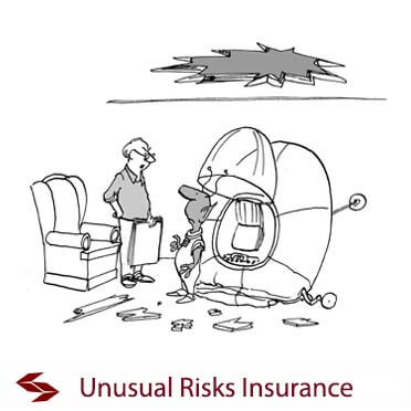 unusual risks insurance