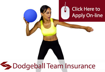 dodgeball team insurance