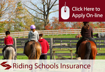 riding schools insurance