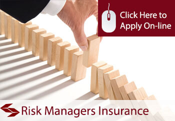 risk managers insurance