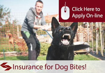 dog bite insurance