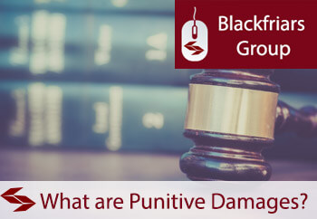 What are punitive damages